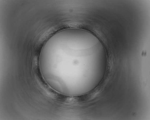 X0000111210117200907151446