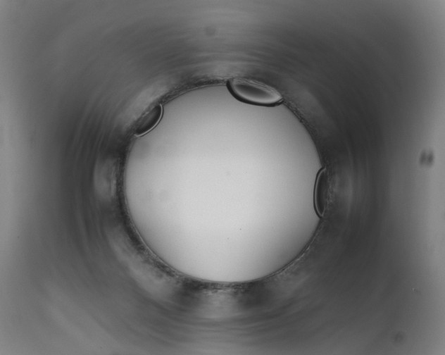 X0000111210120200907151446