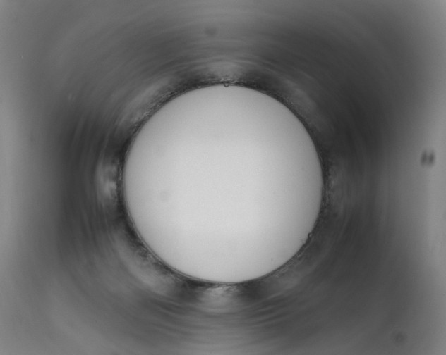 X0000111210122200907151446