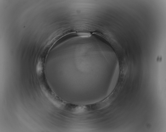 X0000111210124200907151446