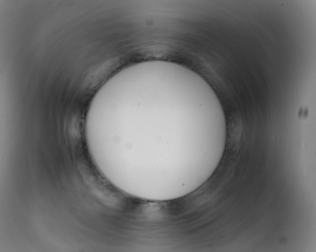 X0000111210126200907151446