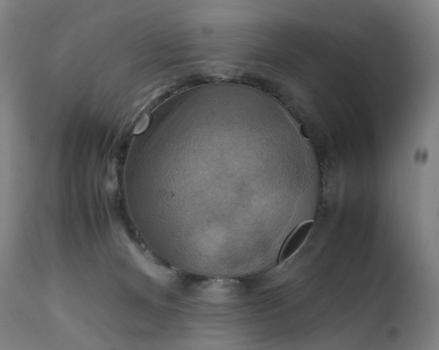 X0000111210128200907151446