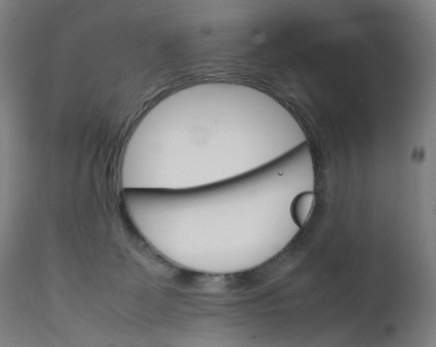 X0000111210131200907151446