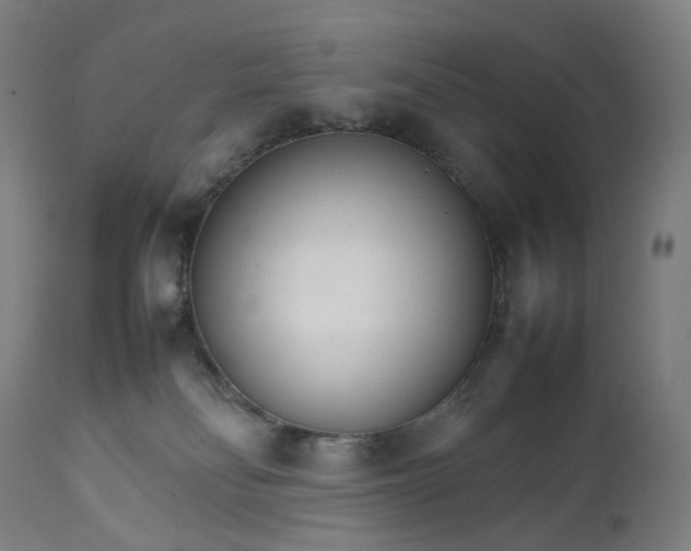 X0000111210134200907151446