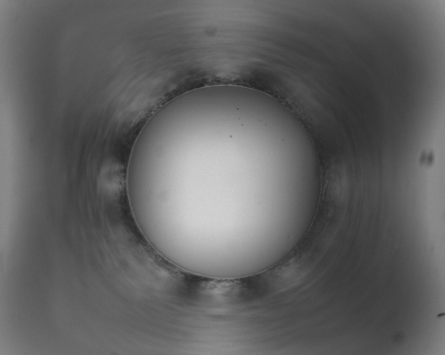 X0000111210135200907151446