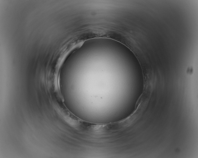 X0000111210136200907151446