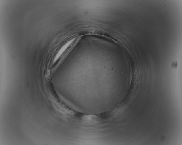 X0000111210137200907151446