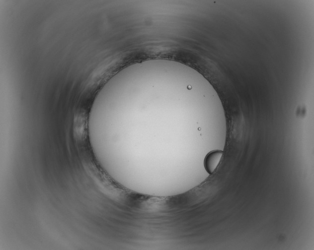 X0000111210138200907151446