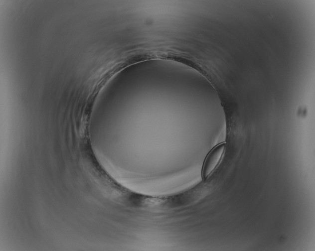 X0000111210139200907151446