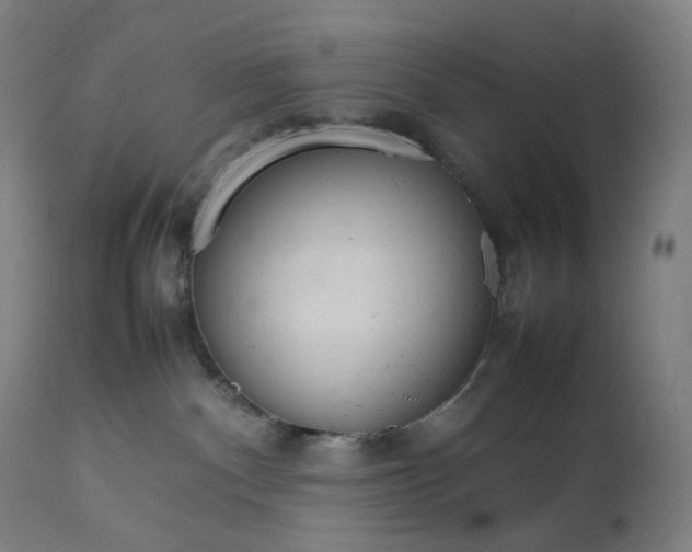 X0000111210140200907151446