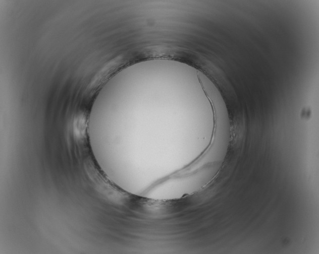 X0000111210142200907151446