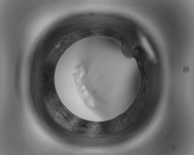 X0000111210143200907151446