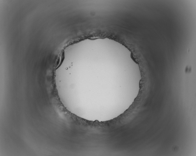 X0000111210144200907151446