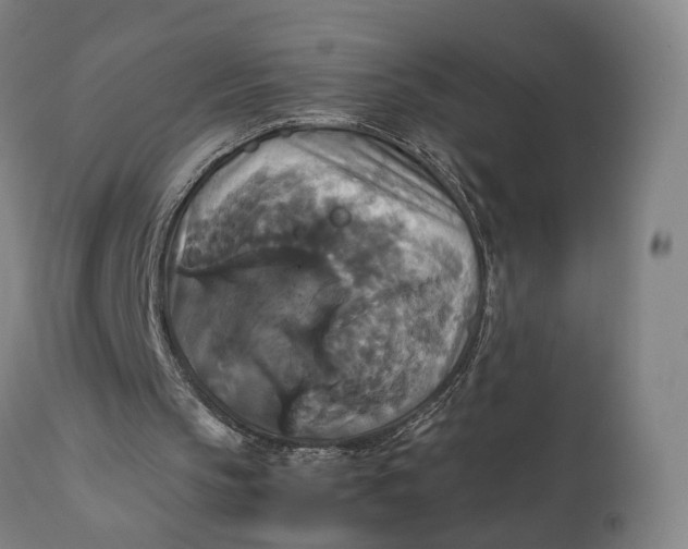 X0000111210145200907151445