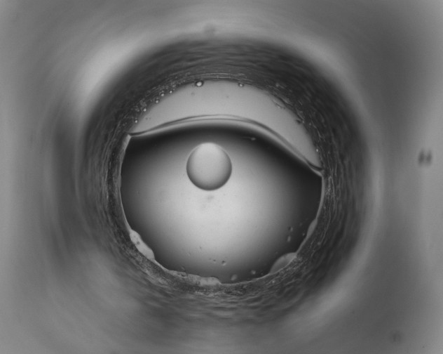 X0000111210146200907151445