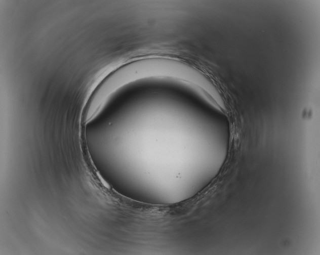 X0000111210148200907151445