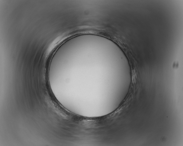 X0000111210150200907151445