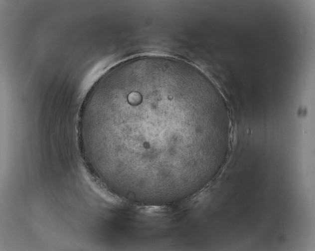 X0000111210151200907151445