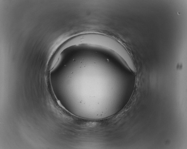 X0000111210152200907151445