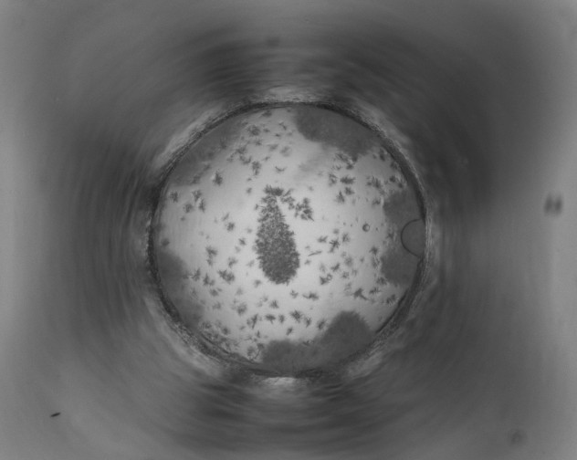 X0000111210153200907151445