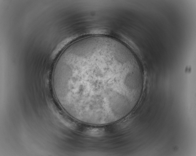 X0000111210155200907151445