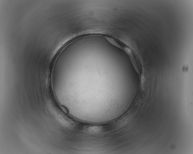 X0000111210156200907151445