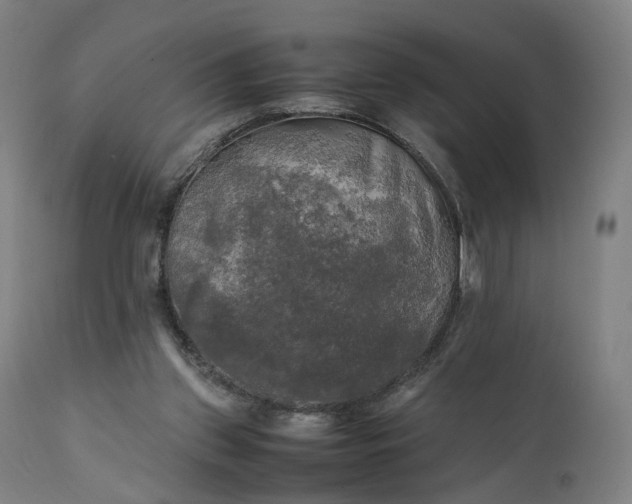 X0000111210157200907151445