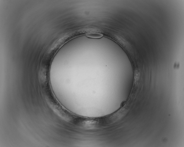 X0000111210158200907151445