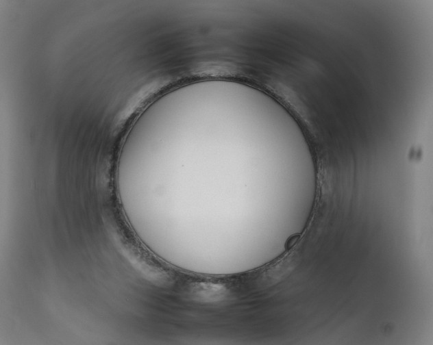 X0000111210159200907151445