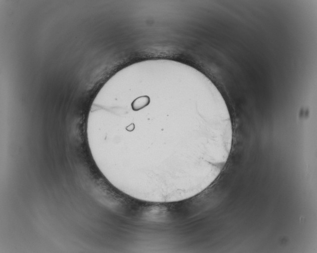 X0000111210162200907151445