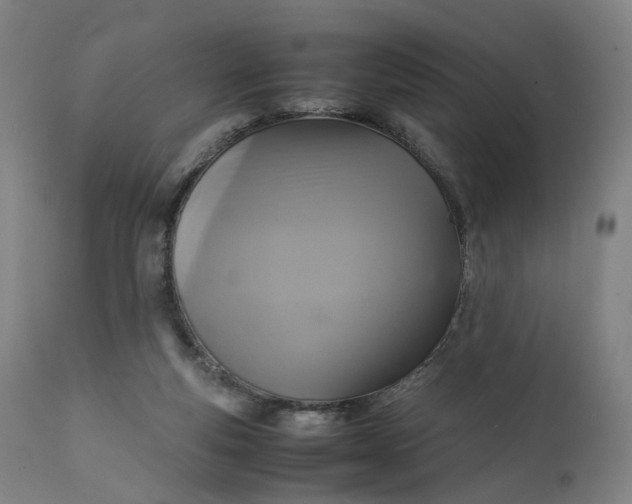 X0000111210163200907151445