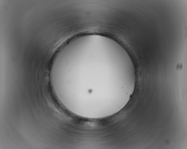 X0000111210164200907151445