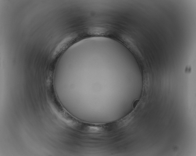 X0000111210167200907151445