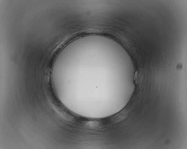 X0000111210168200907151445