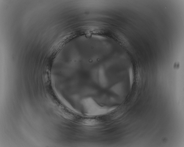 X0000111210169200907151445