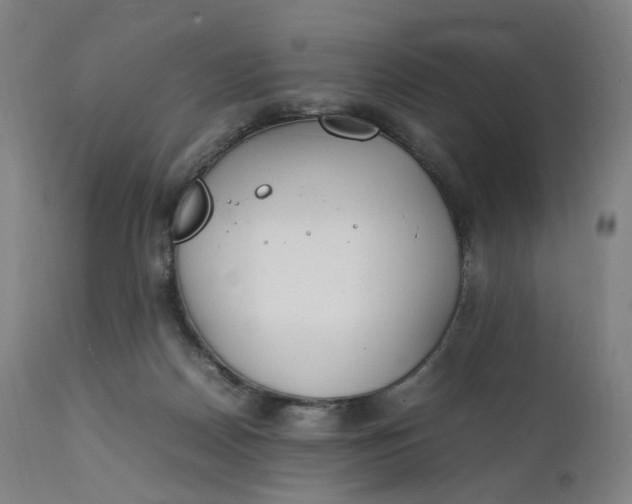 X0000111210170200907151445