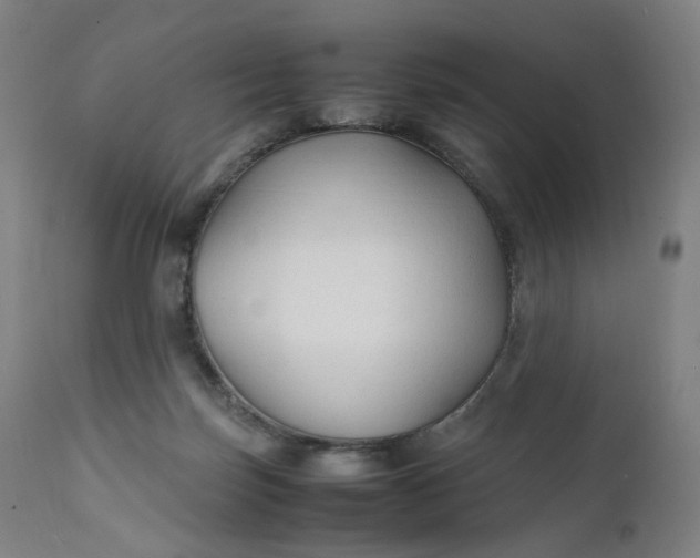 X0000111210171200907151445