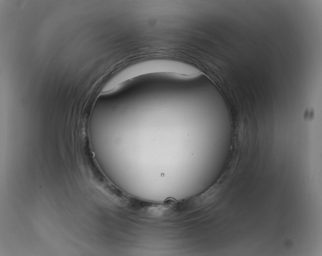 X0000111210172200907151446