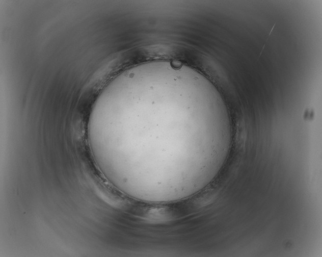 X0000111210173200907151446