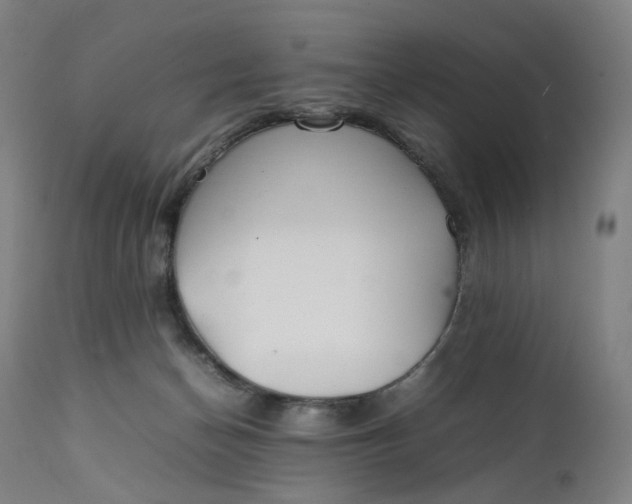 X0000111210174200907151446