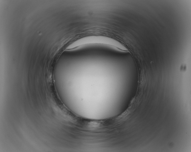 X0000111210176200907151446