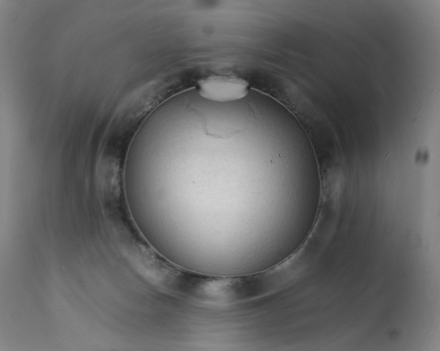 X0000111210178200907151446