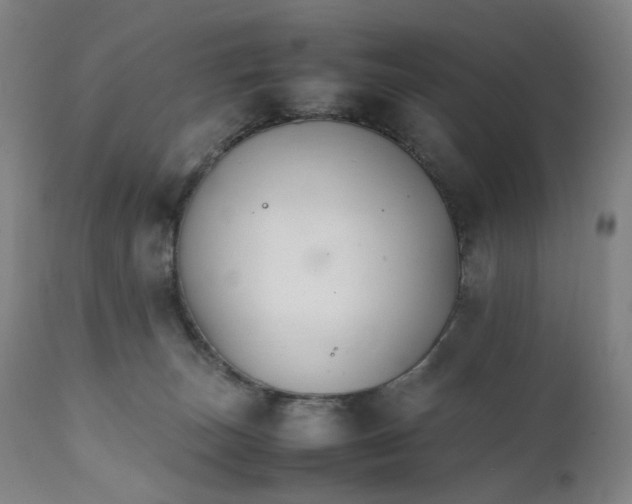 X0000111210179200907151446