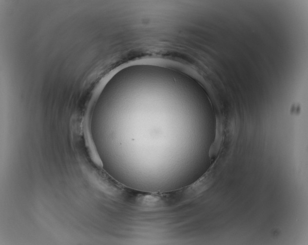 X0000111210180200907151446