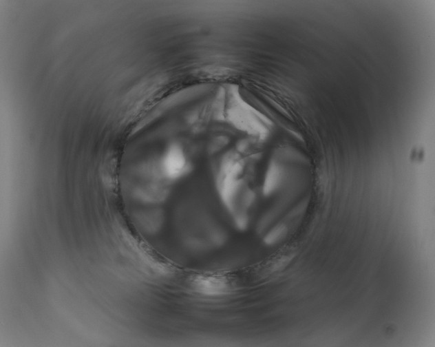 X0000111210181200907151446