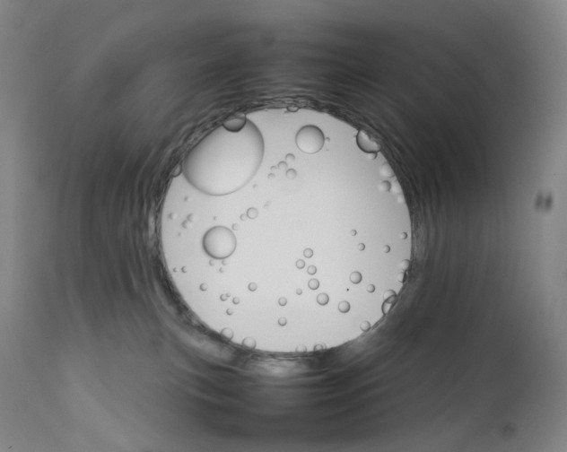 X0000111210183200907151446