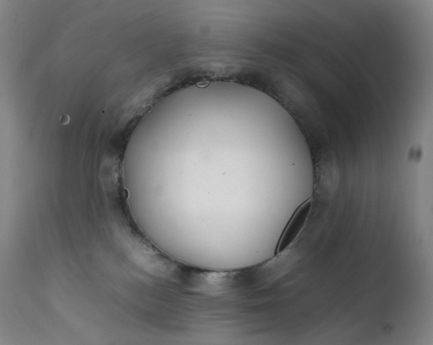 X0000111210184200907151446