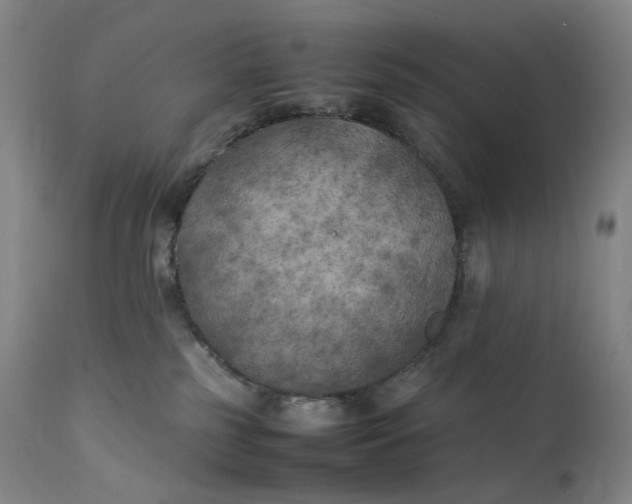 X0000111210185200907151446