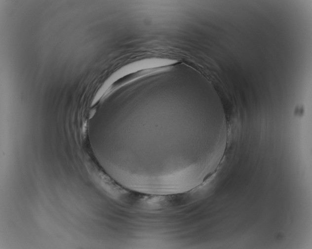 X0000111210186200907151446