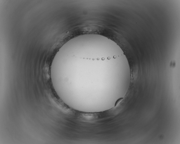 X0000111210187200907151446